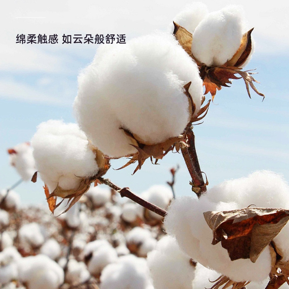 5.0/3.0/2.5mm Rubber Head Orga - Cotton Wick Organic recension och pris